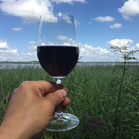 Domaine De Giron Bed & Breakfast Moulis-en-Medoc Luaran gambar