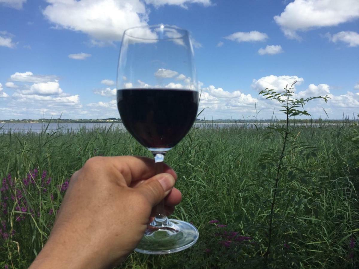 Domaine De Giron Bed & Breakfast Moulis-en-Medoc Luaran gambar